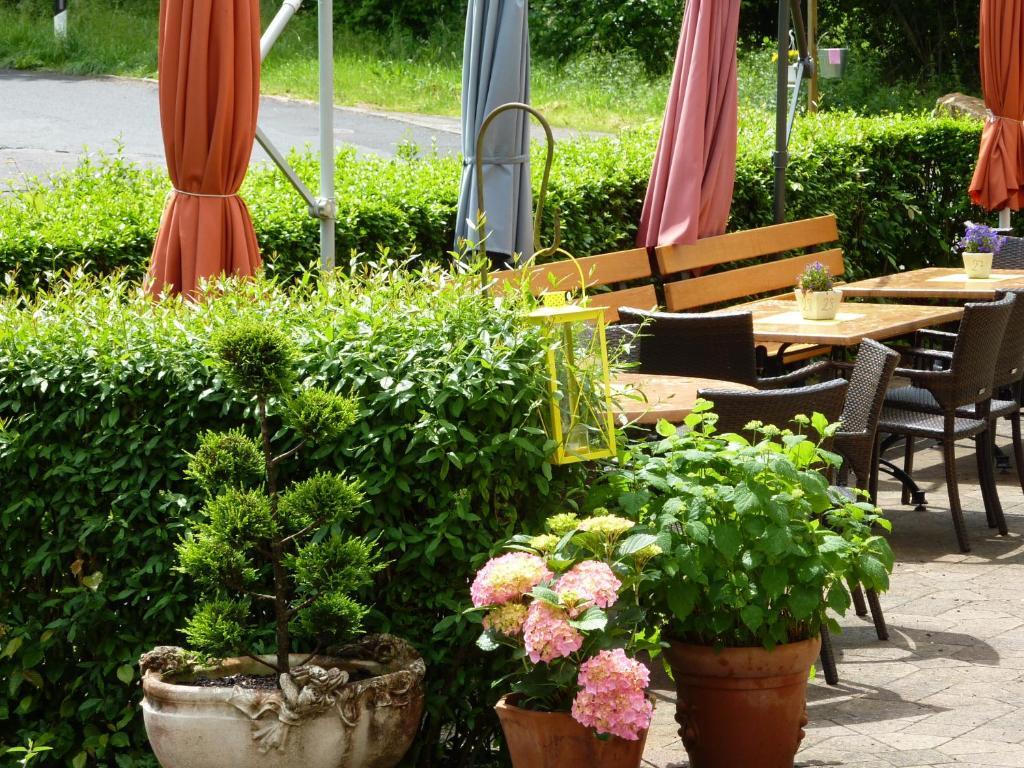Hotel Waldschloesschen Plein Екстер'єр фото